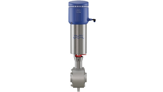 Leakage detection butterfly valve